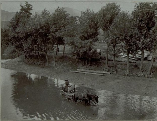 b15390945t15390951