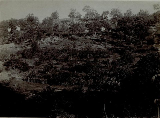b15392670t15392676