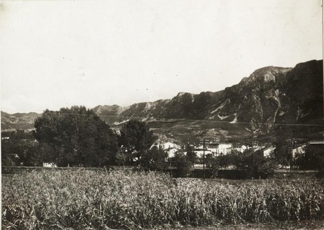 b15595314t15595320